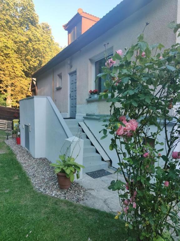 Przytulny Pokoj W Zacisznej Okolicy Z Lazienka Wspolna Dla Dwoch Pokoi Sopot Buitenkant foto